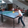 Ping-pong házibajnokság